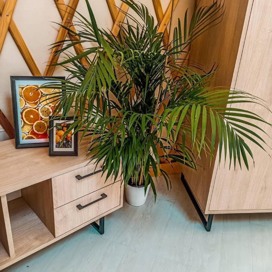Отель Jurty Glamping Гостынин Экстерьер фото